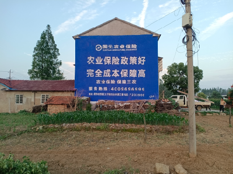 红安墙体广告的优劣势你知道吗？